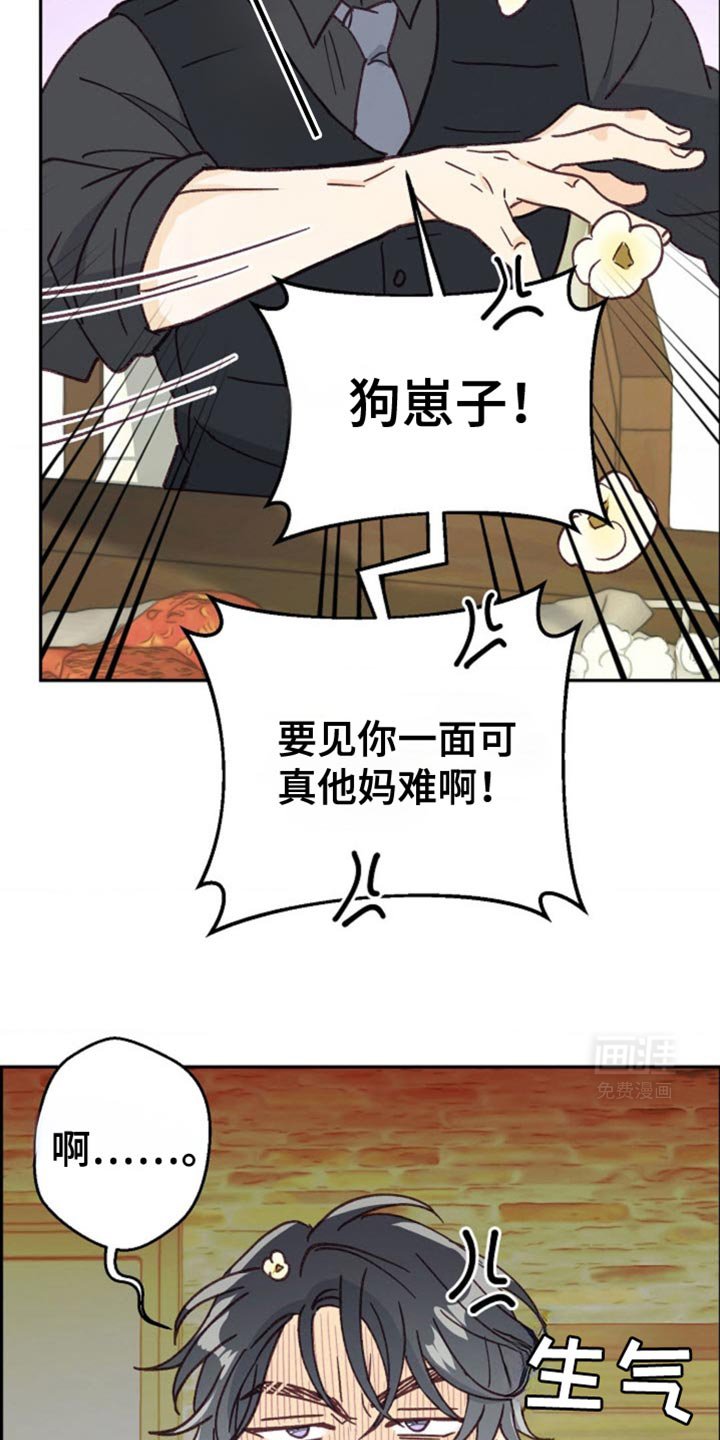 第42章：聚会