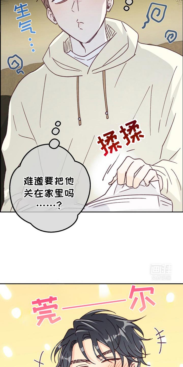 第43章：因为你很可爱