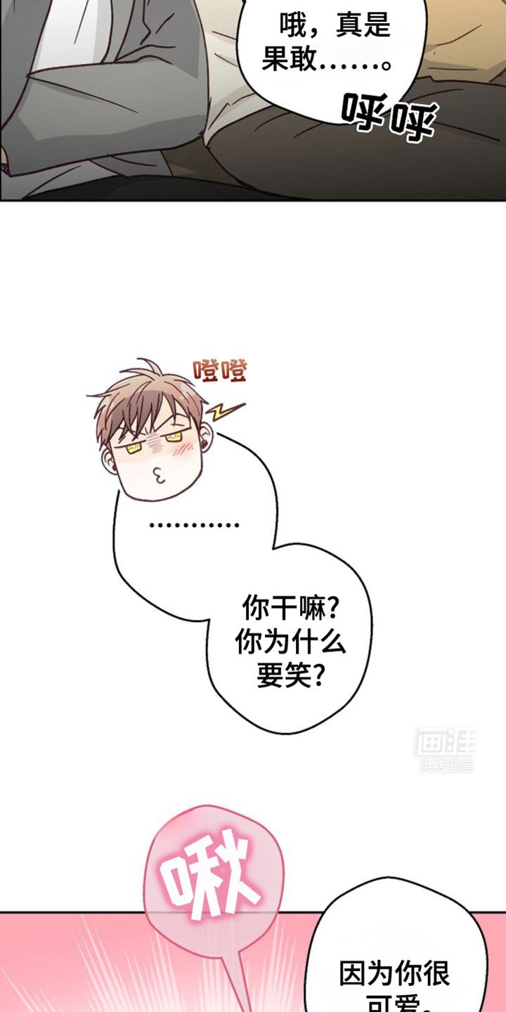 第43章：因为你很可爱