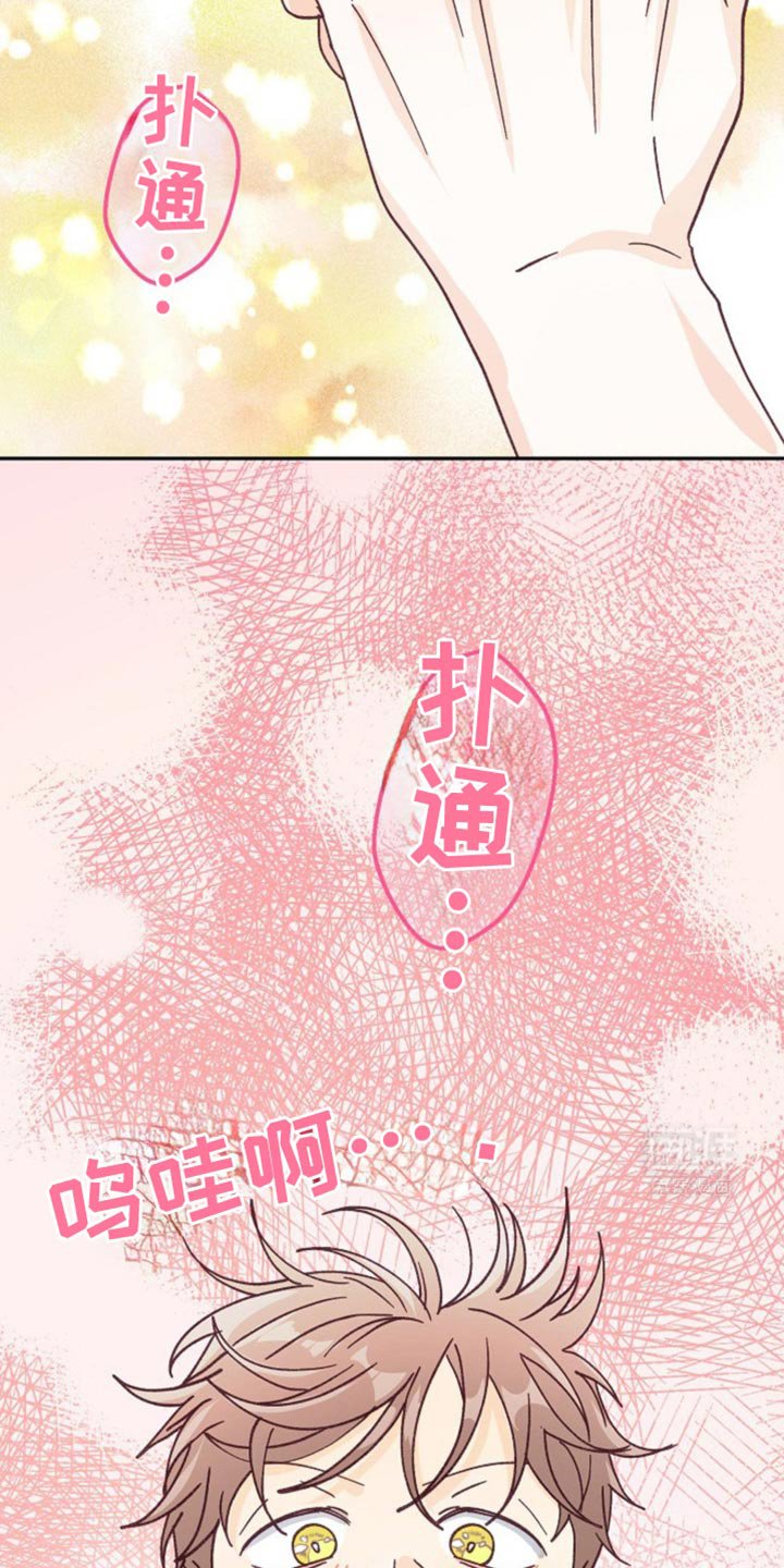 第44章：情侣戒指