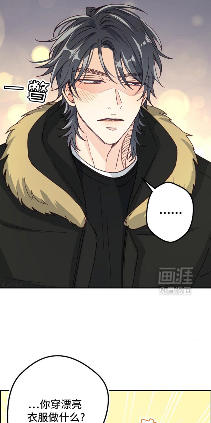 第46章：期待已久的聚会