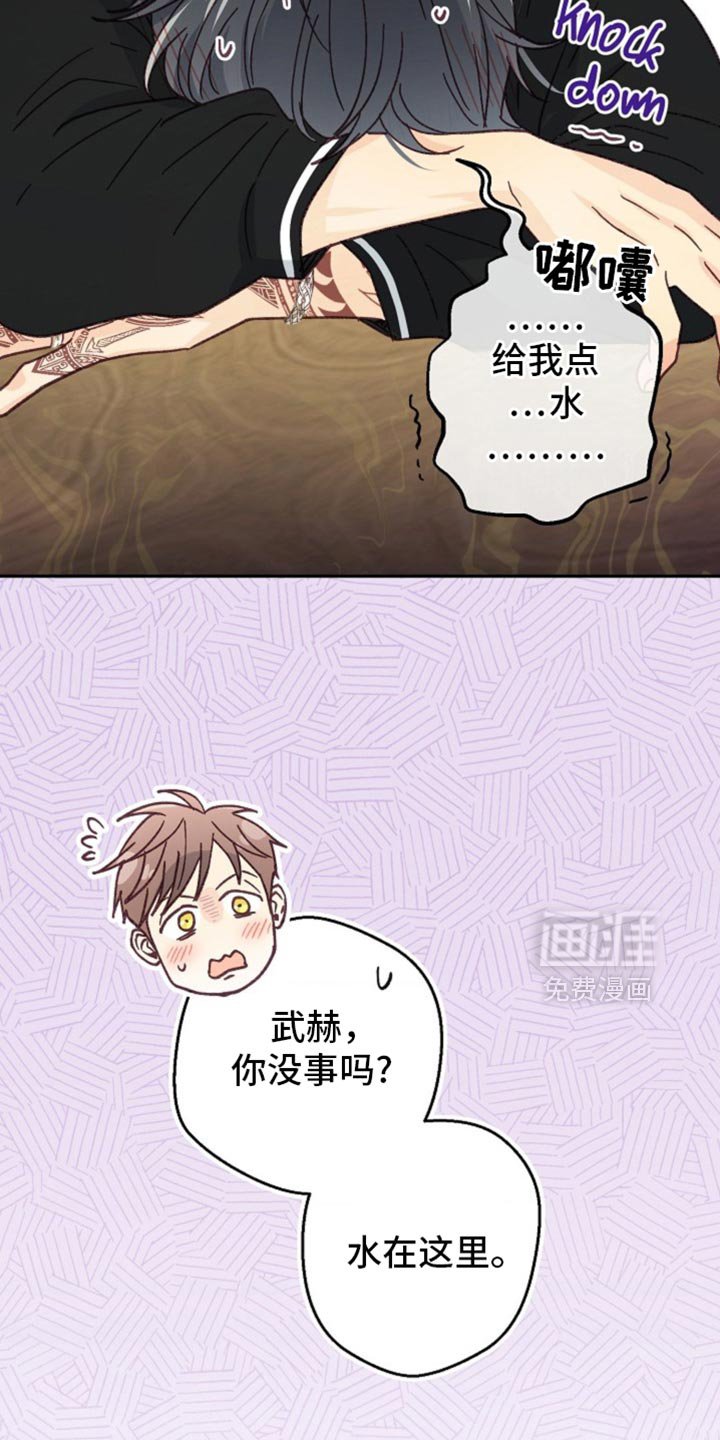 第46章：期待已久的聚会