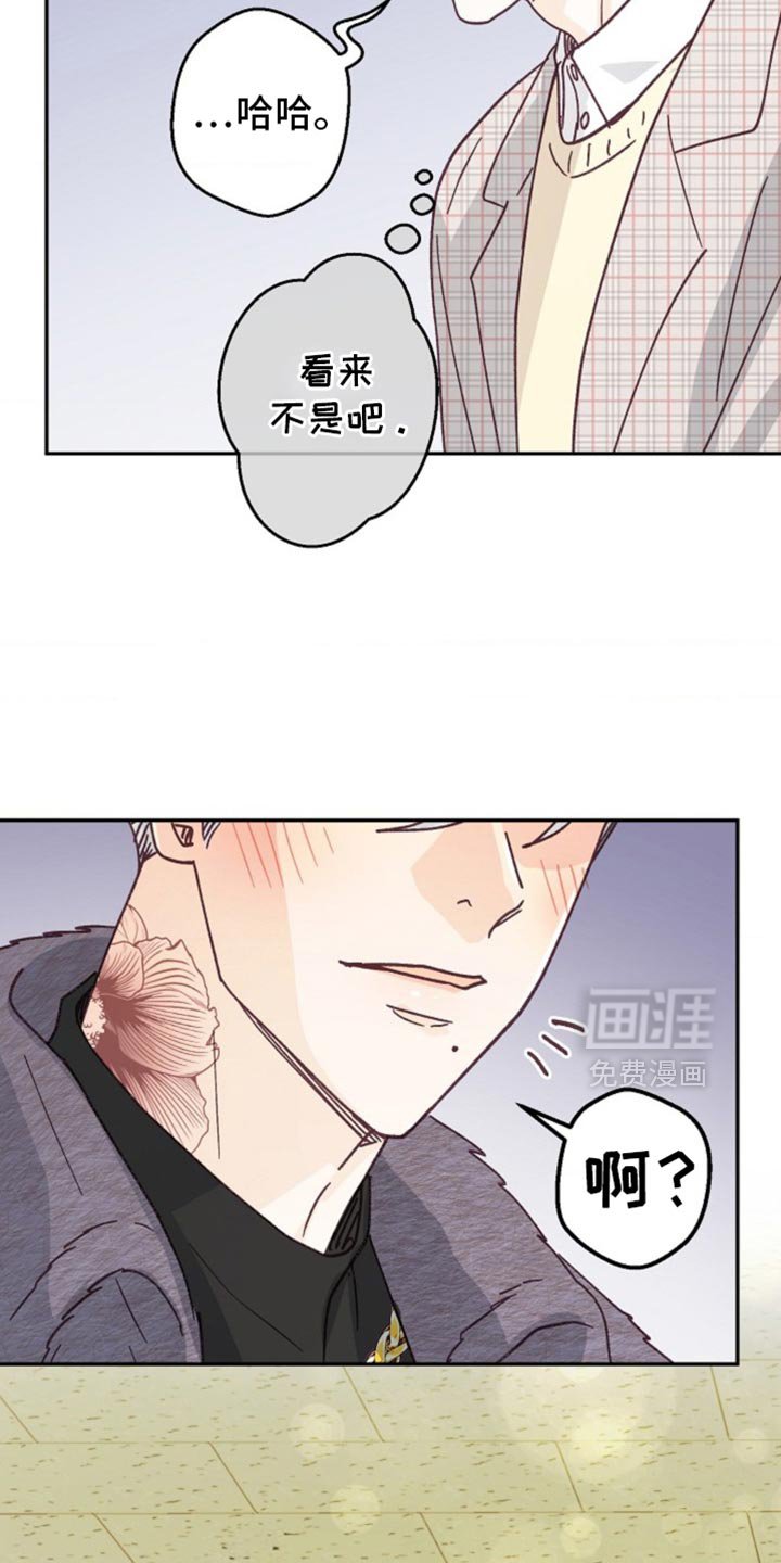 第46章：期待已久的聚会