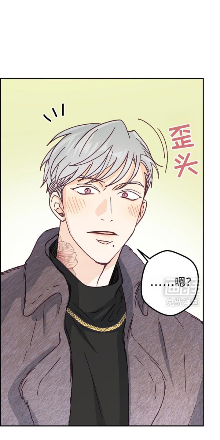第46章：期待已久的聚会