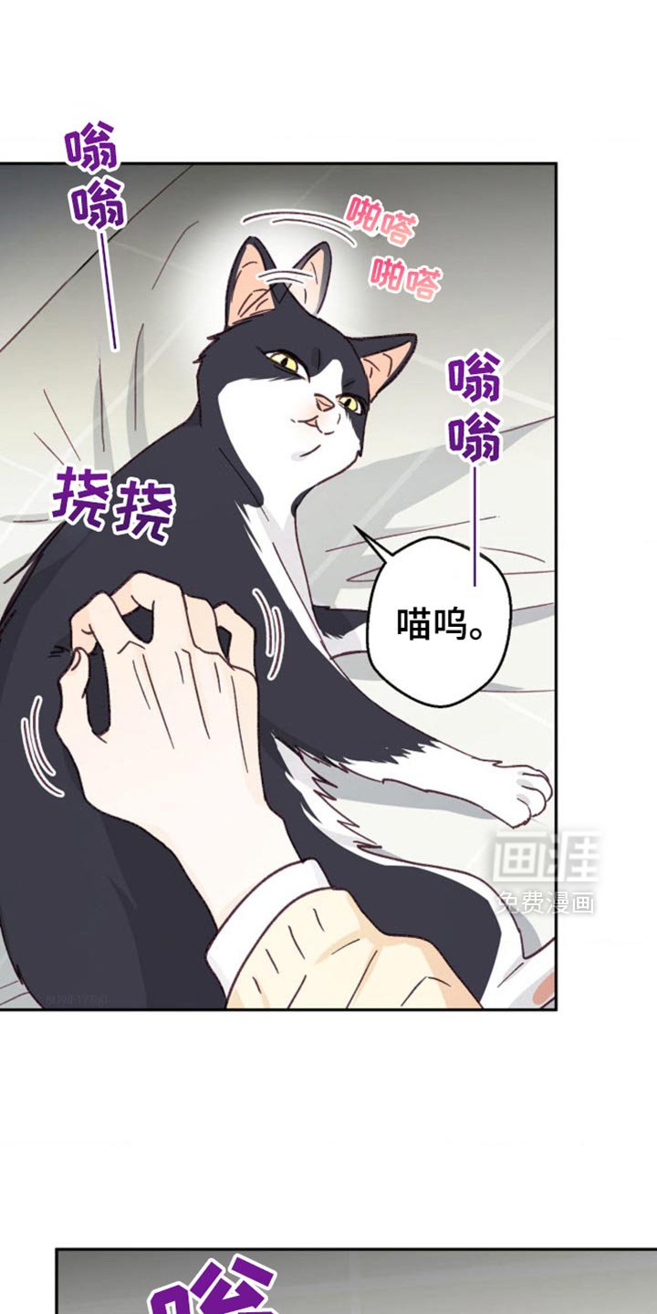 第48章：我只有你了