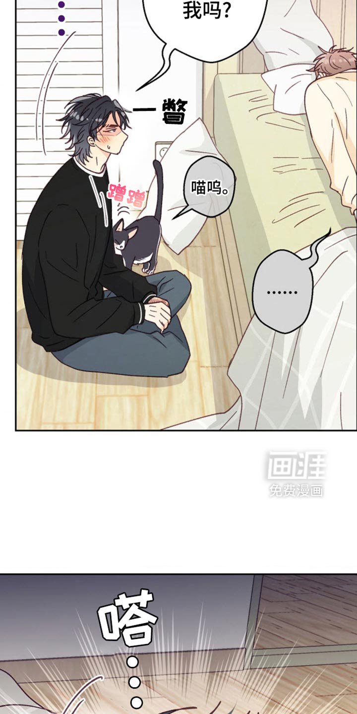 第48章：我只有你了