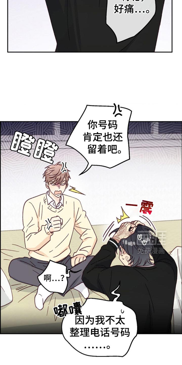 第48章：我只有你了