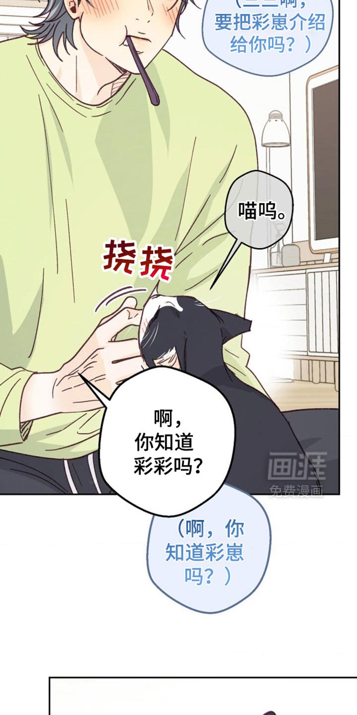 第50章：太让人生气了