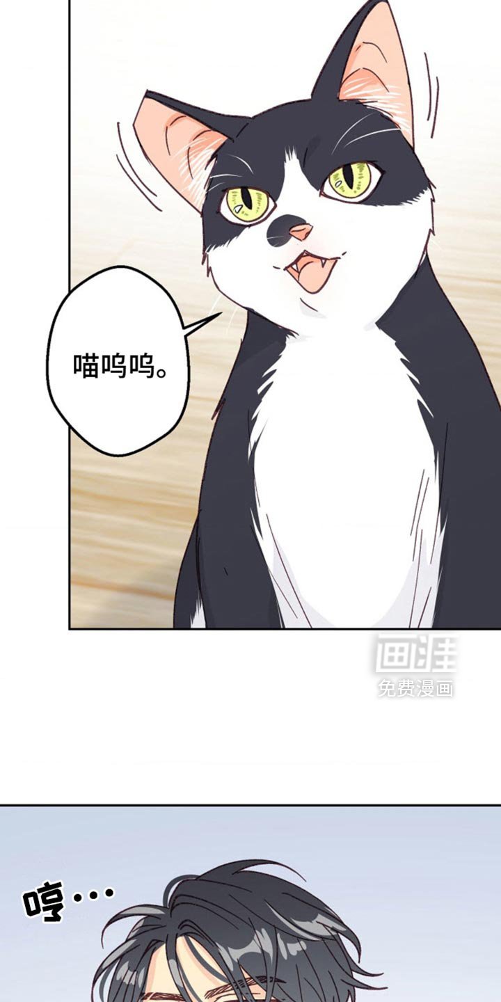 第50章：太让人生气了