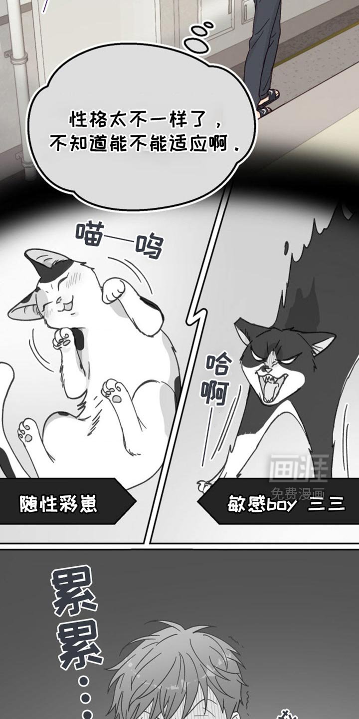 第50章：太让人生气了