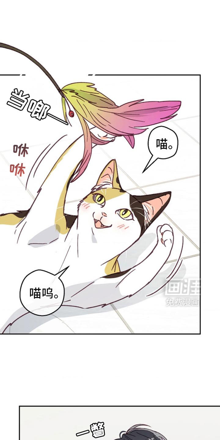 第51章：让人想看你