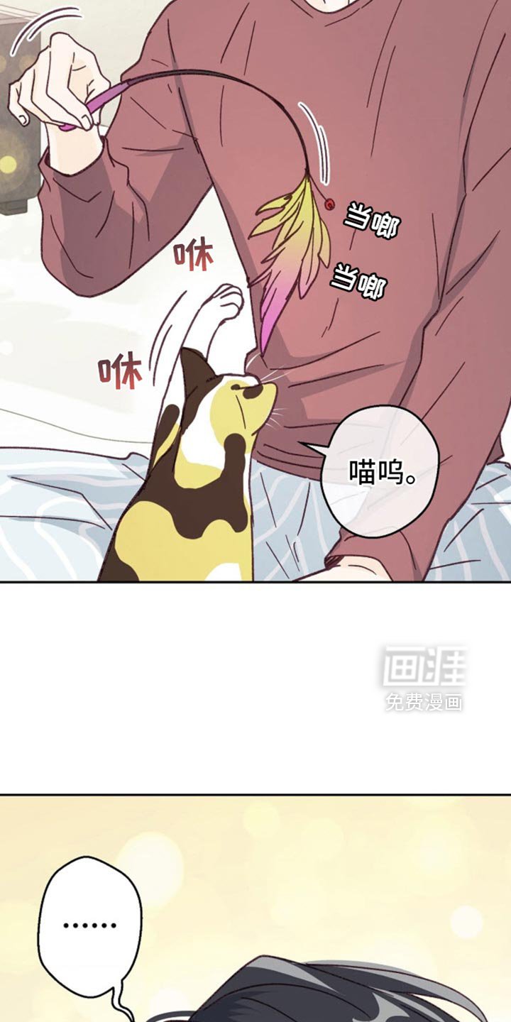 第51章：让人想看你