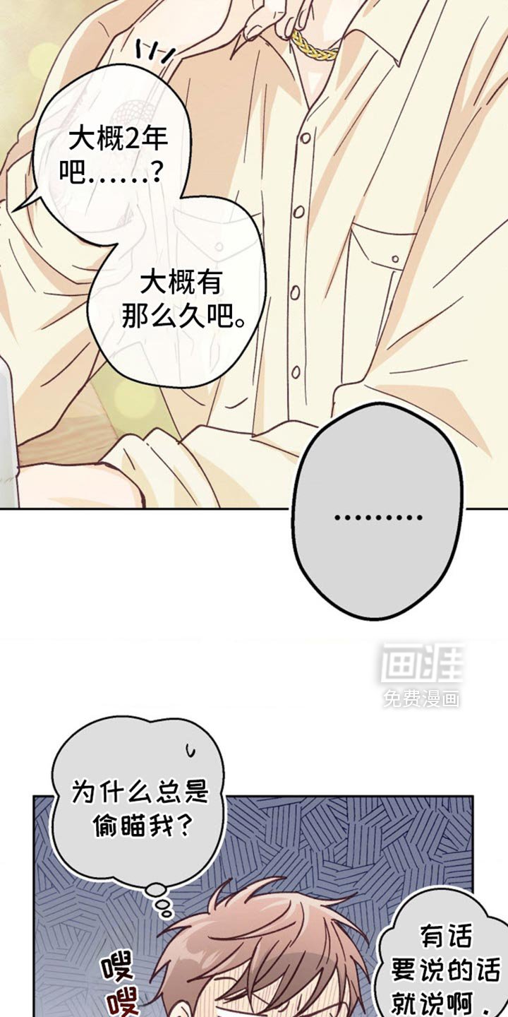 第51章：让人想看你
