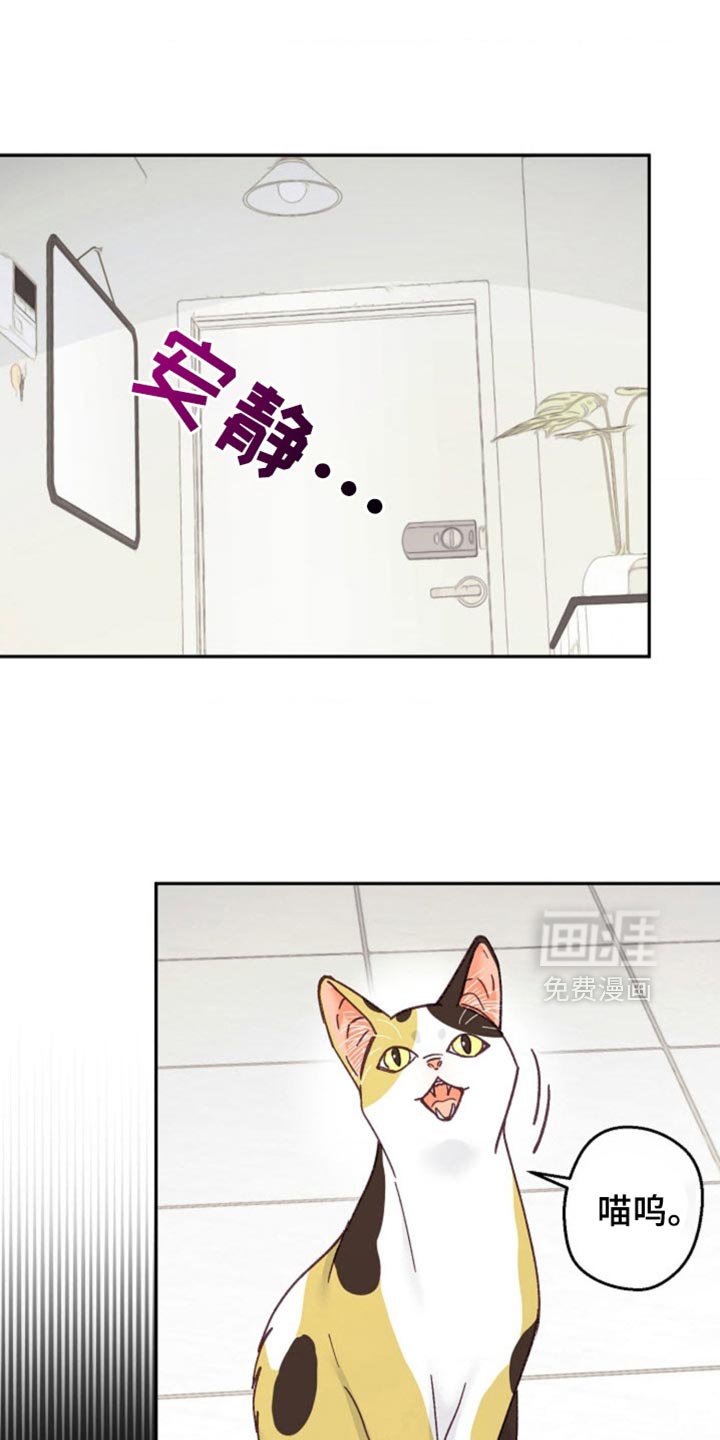 第55章：道歉