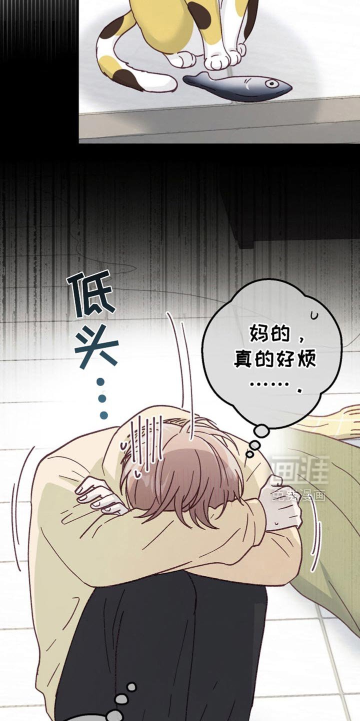 第55章：道歉