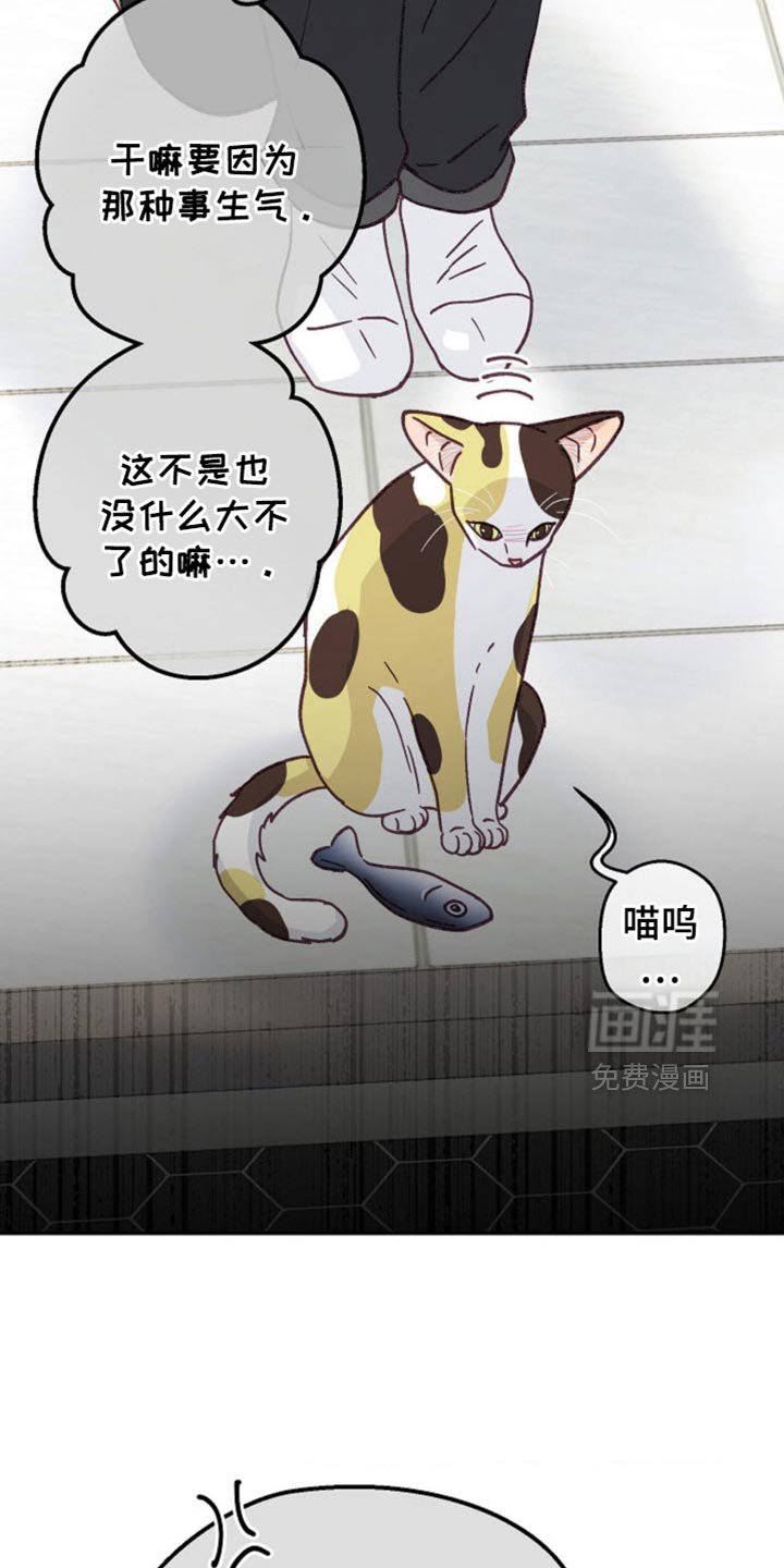 第55章：道歉