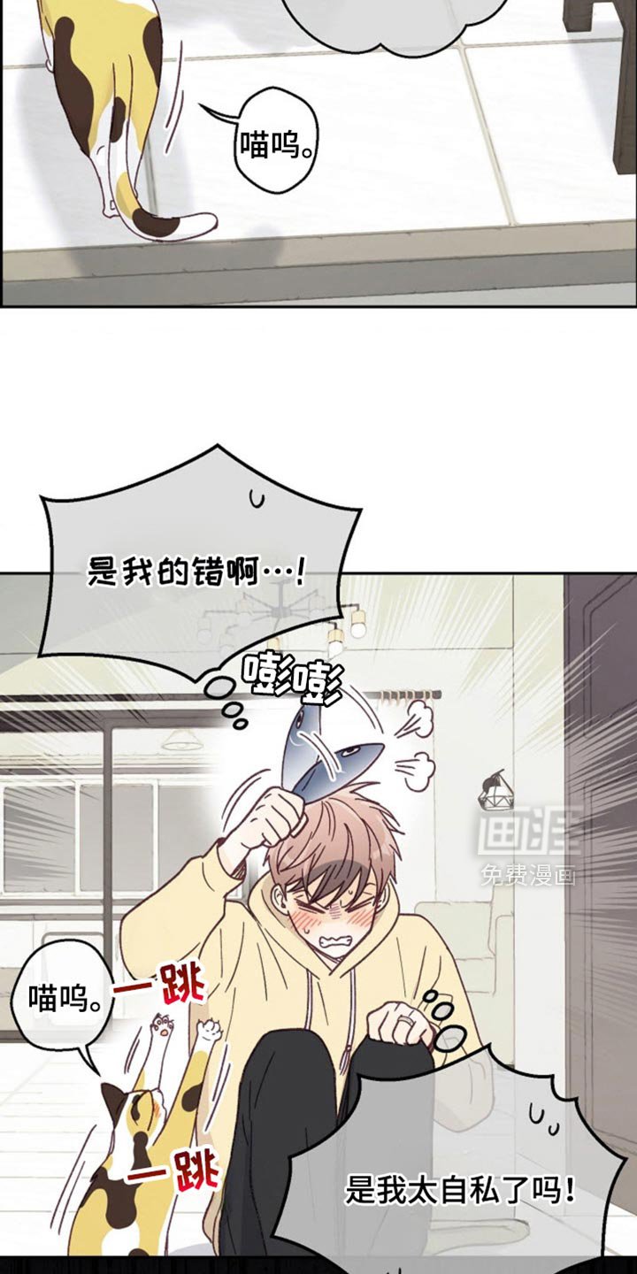 第55章：道歉