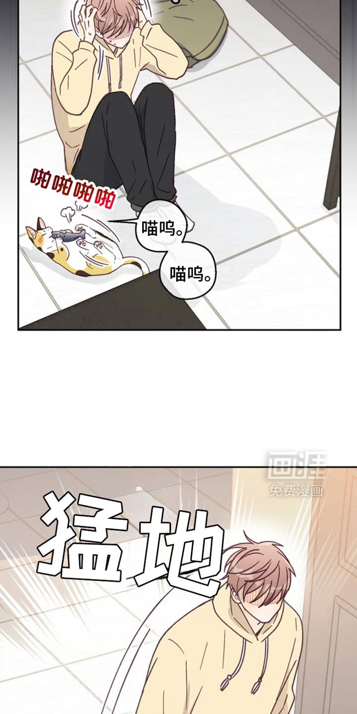 第55章：道歉