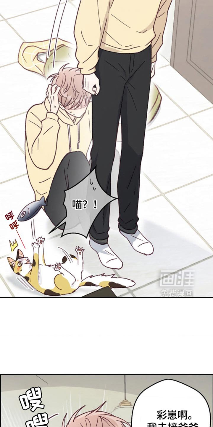 第55章：道歉