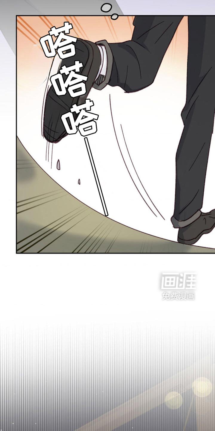 第55章：道歉