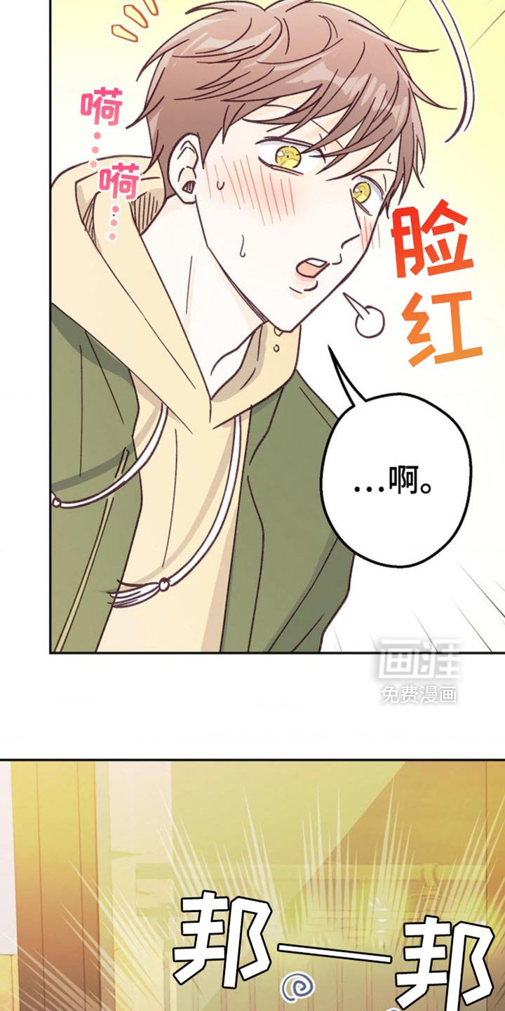 第55章：道歉