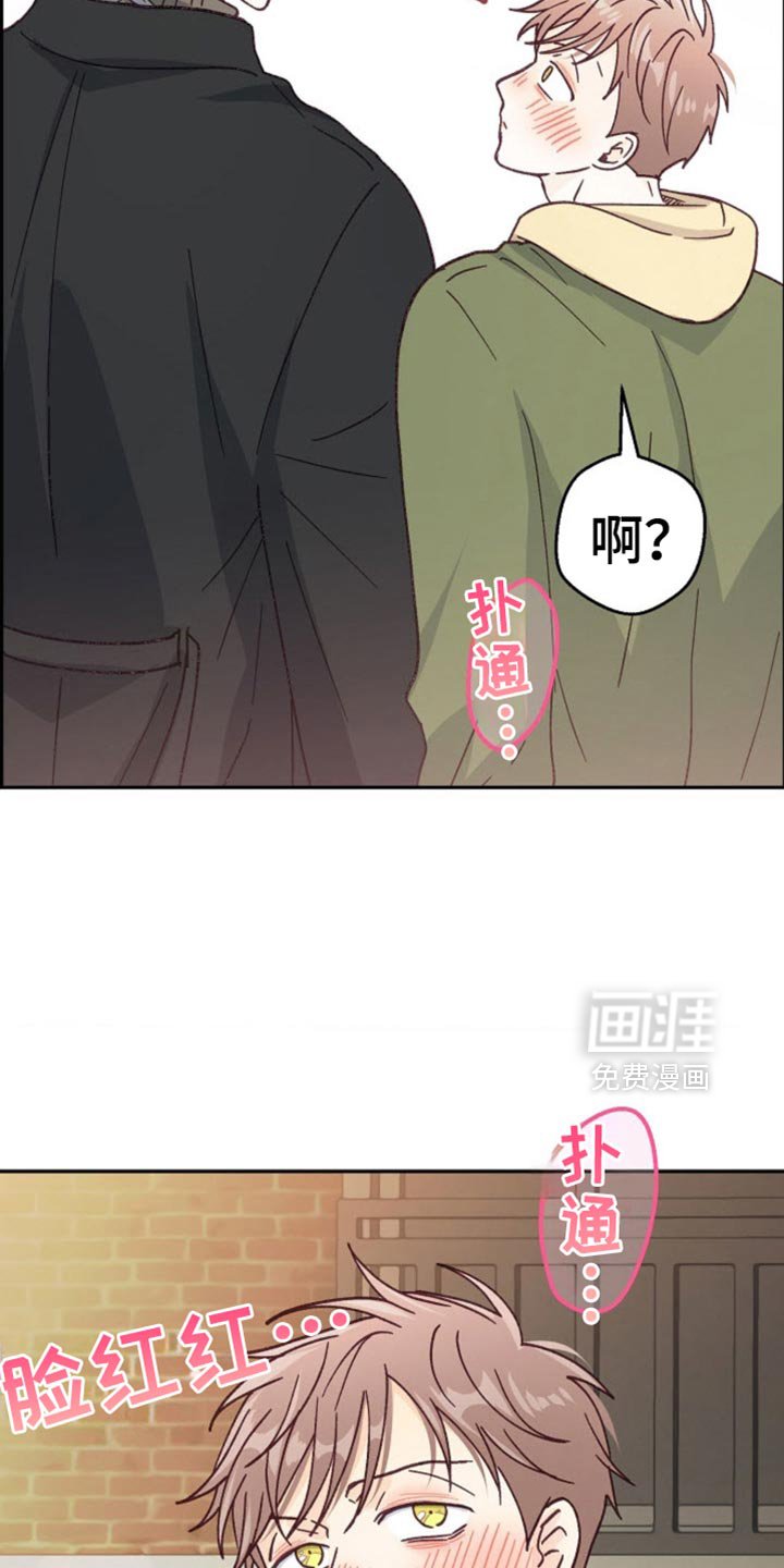第56章：直接同居