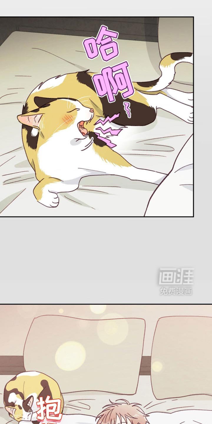 第57章：都是我的问题