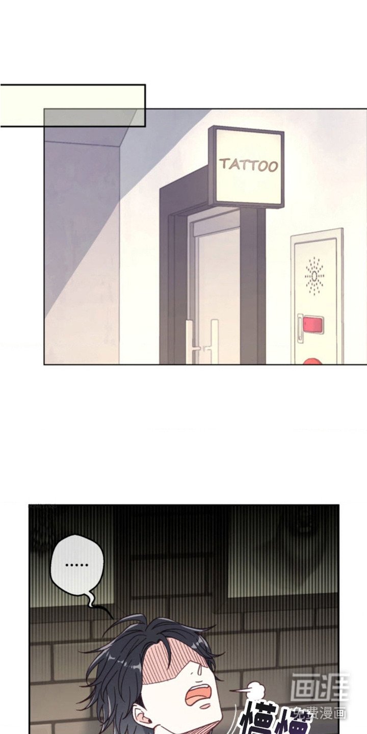 第6章：猫咪