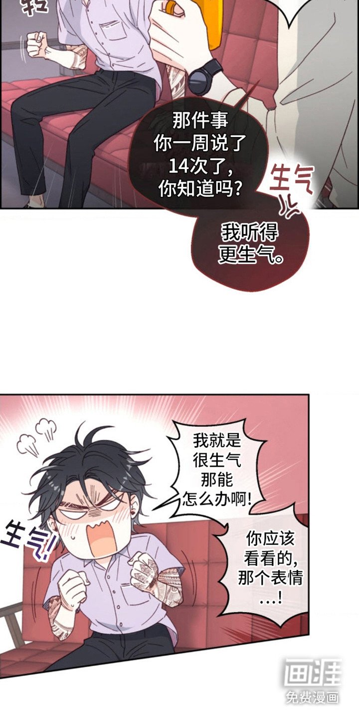 第6章：猫咪