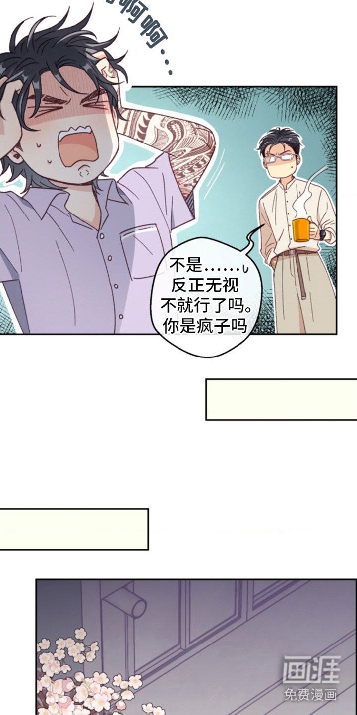 第6章：猫咪
