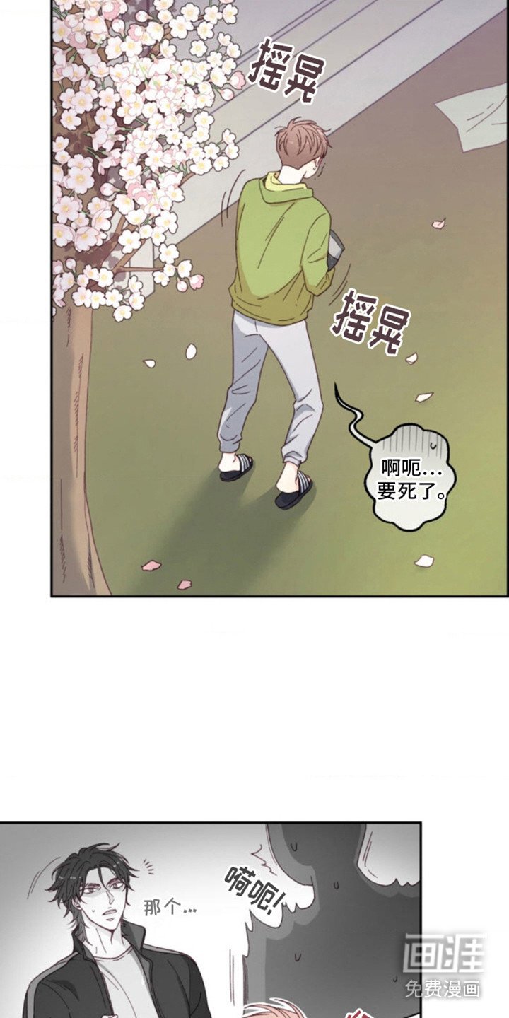 第6章：猫咪