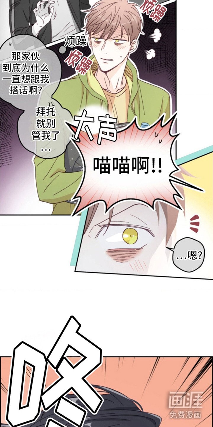 第6章：猫咪