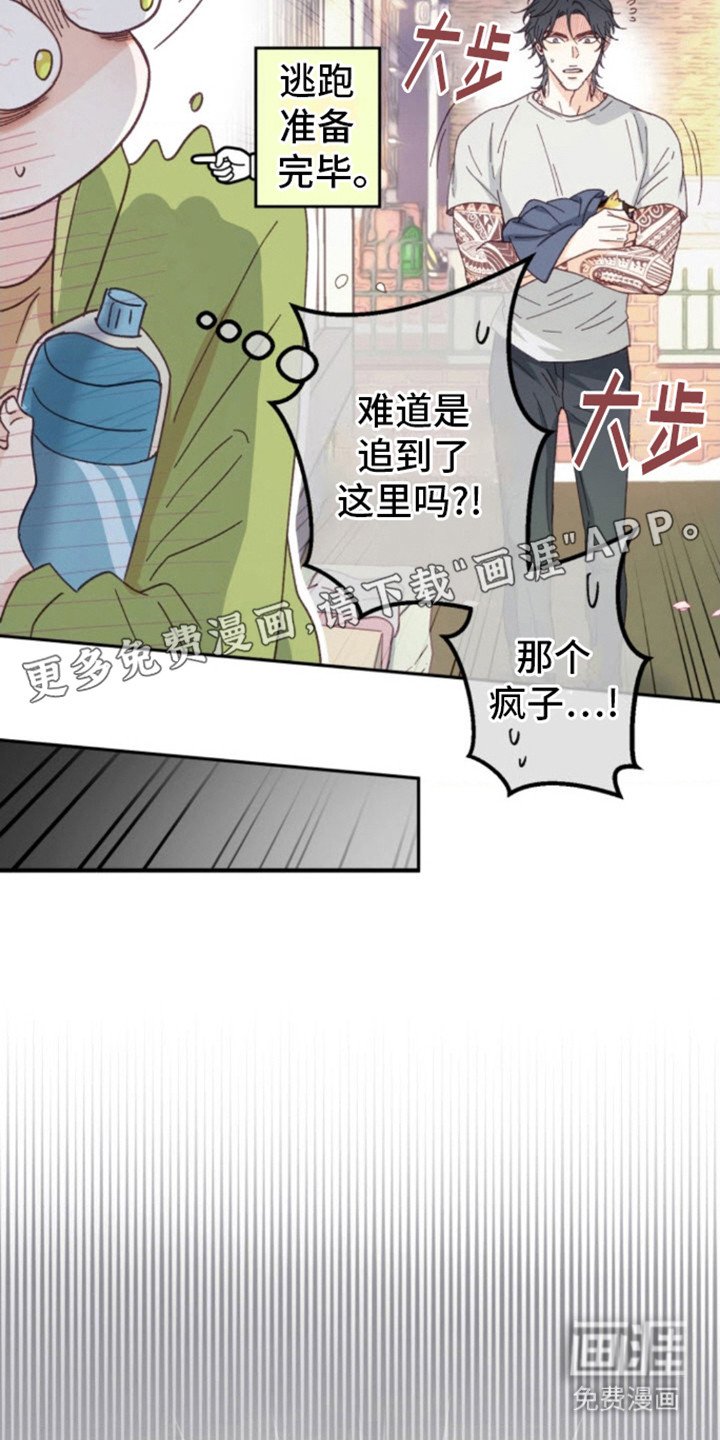 第6章：猫咪