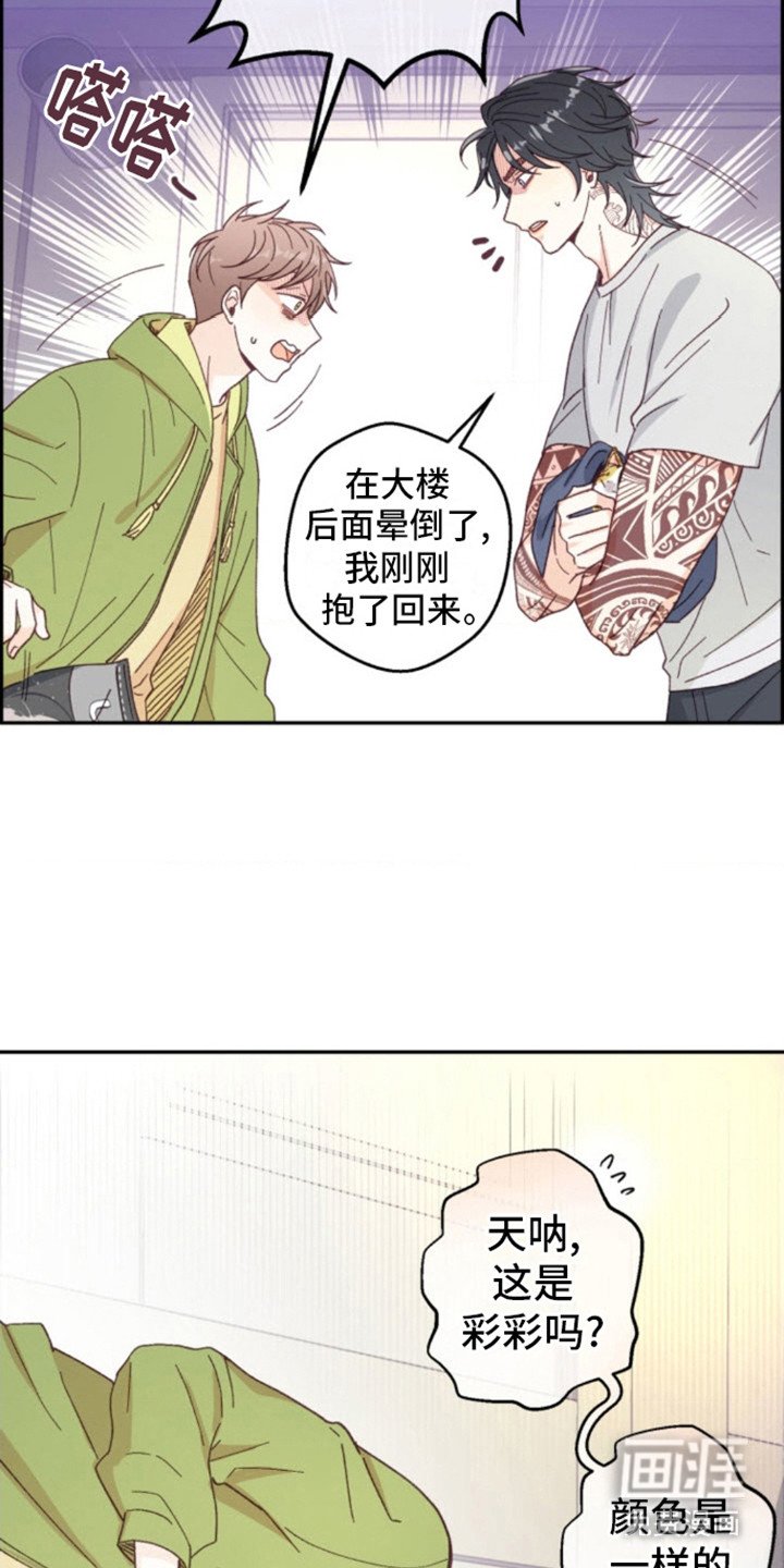 第6章：猫咪