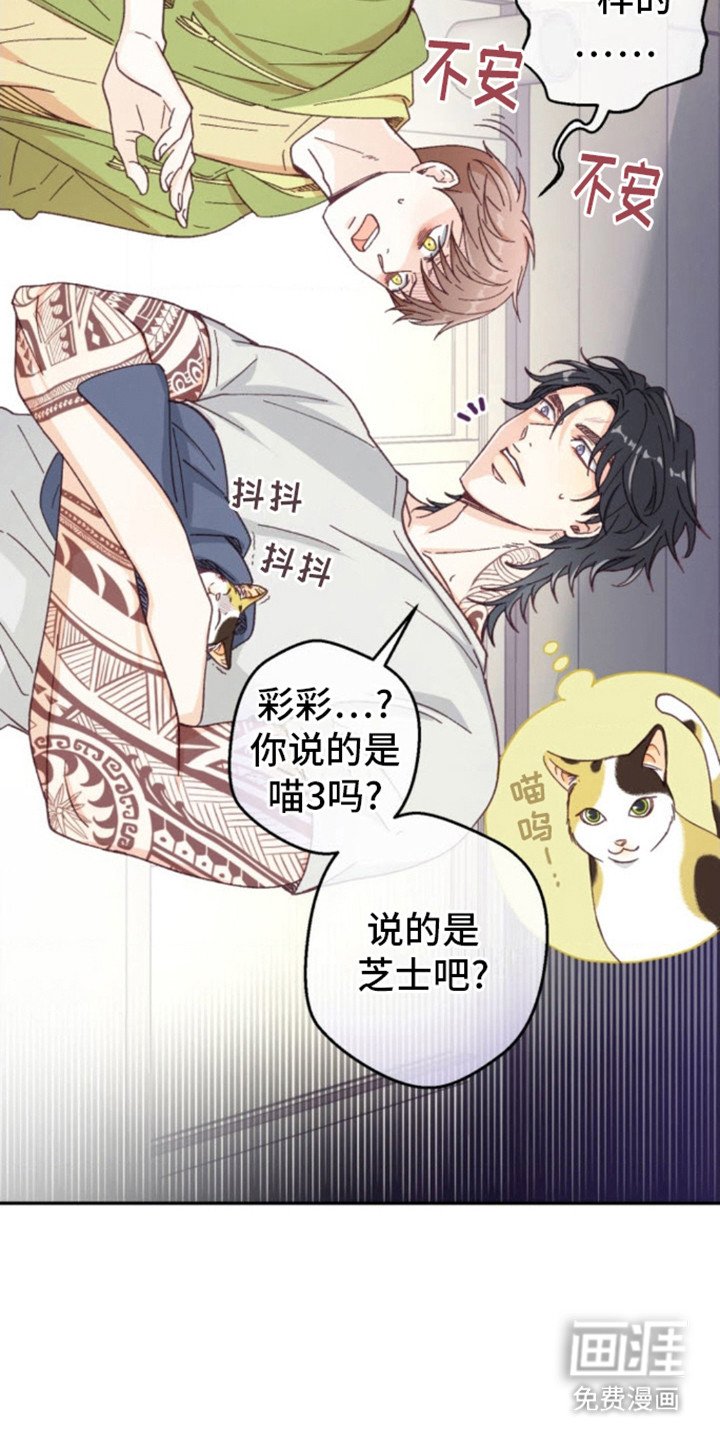 第6章：猫咪