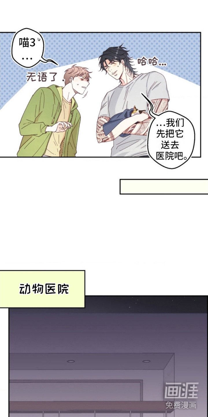 第6章：猫咪