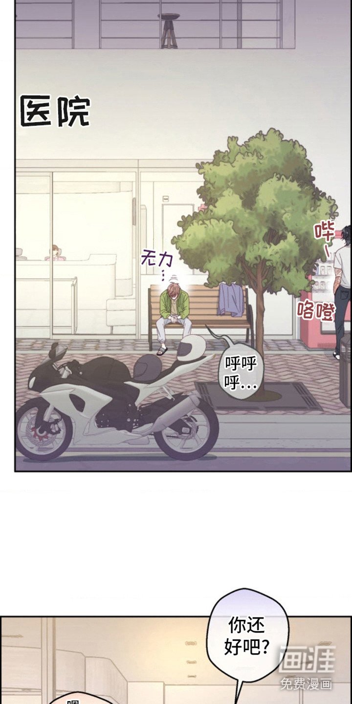 第6章：猫咪