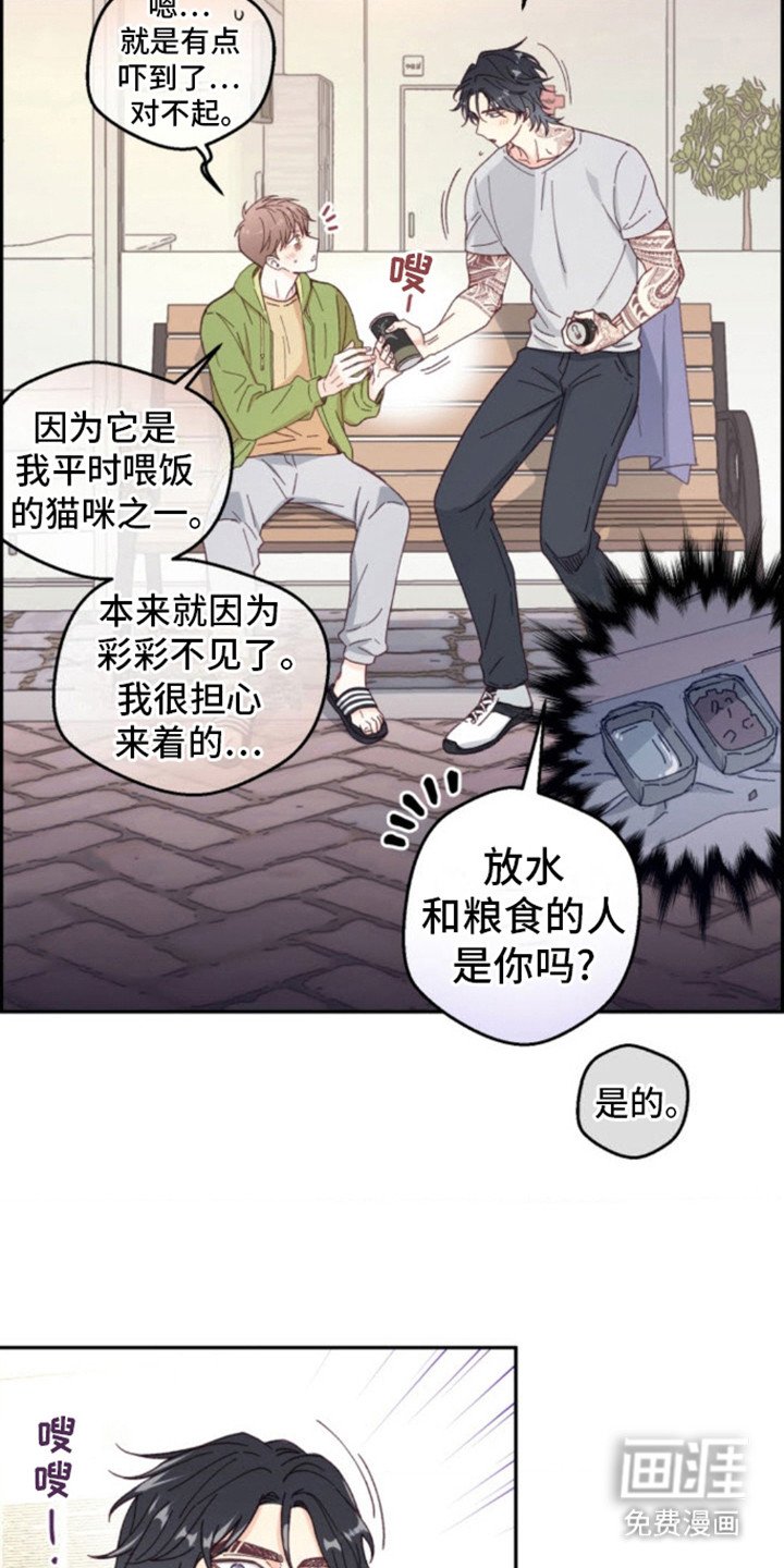 第6章：猫咪