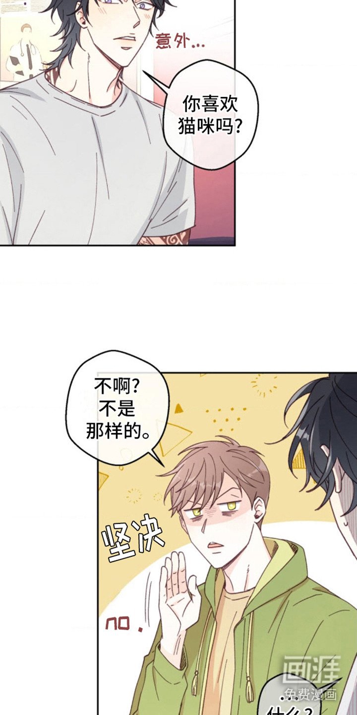 第6章：猫咪