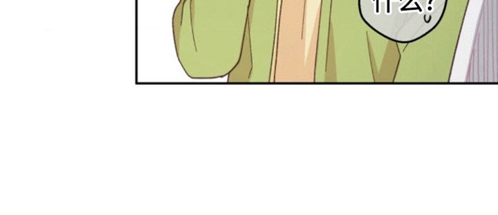 第6章：猫咪