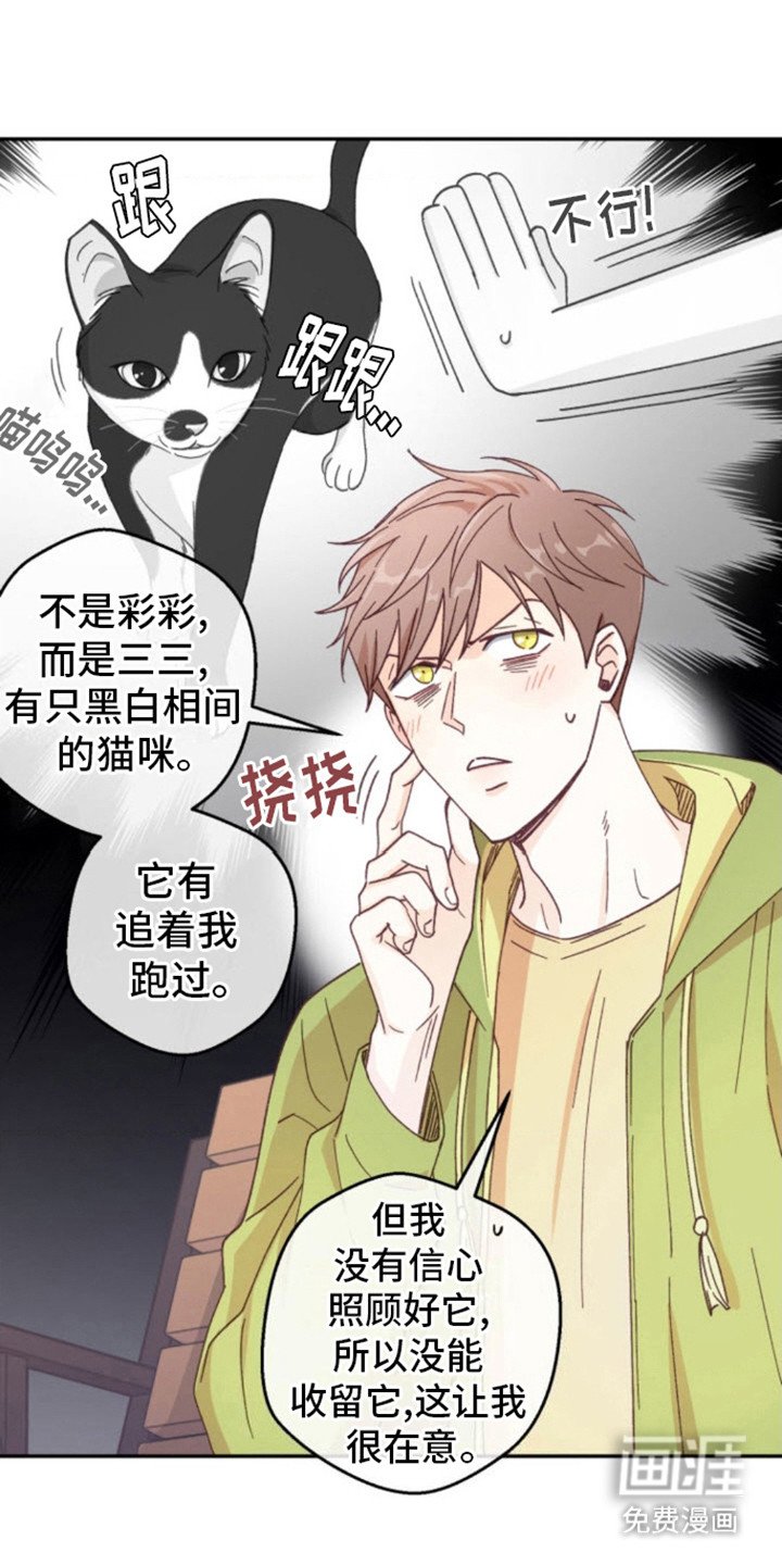 第6章：猫咪