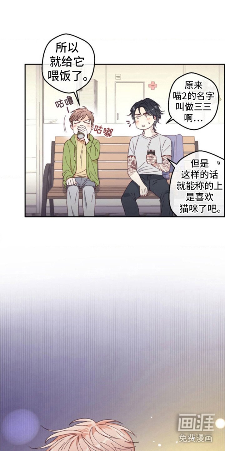 第6章：猫咪