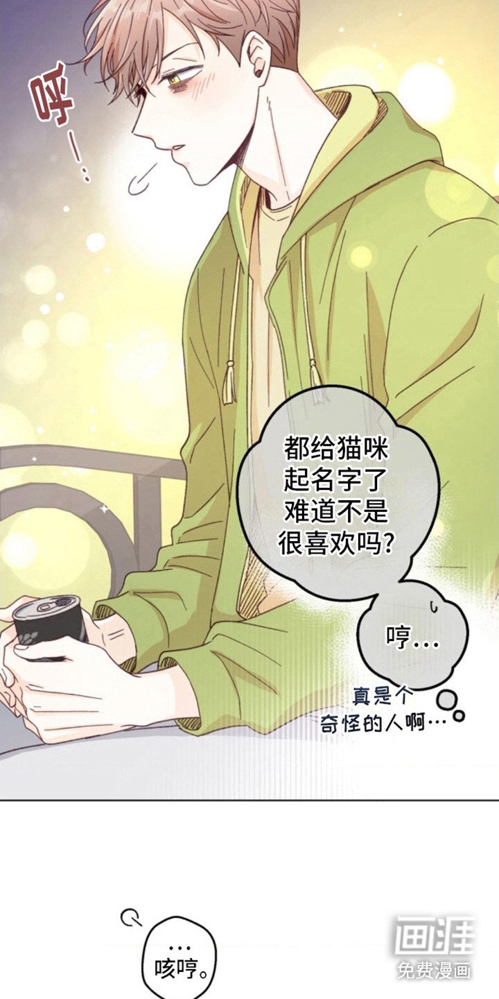 第6章：猫咪