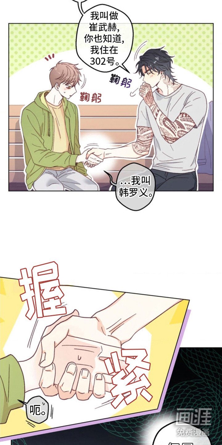 第6章：猫咪