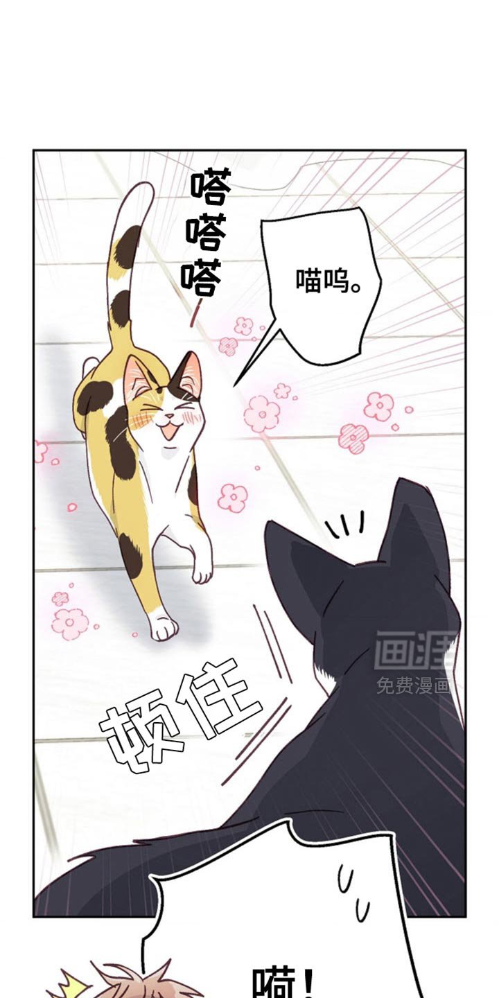 第60章：如你所愿吧