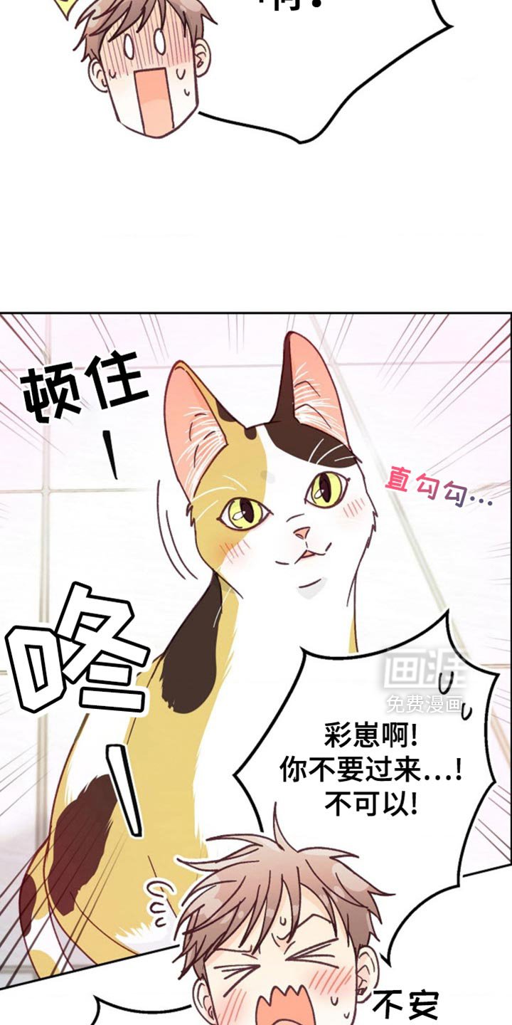 第60章：如你所愿吧