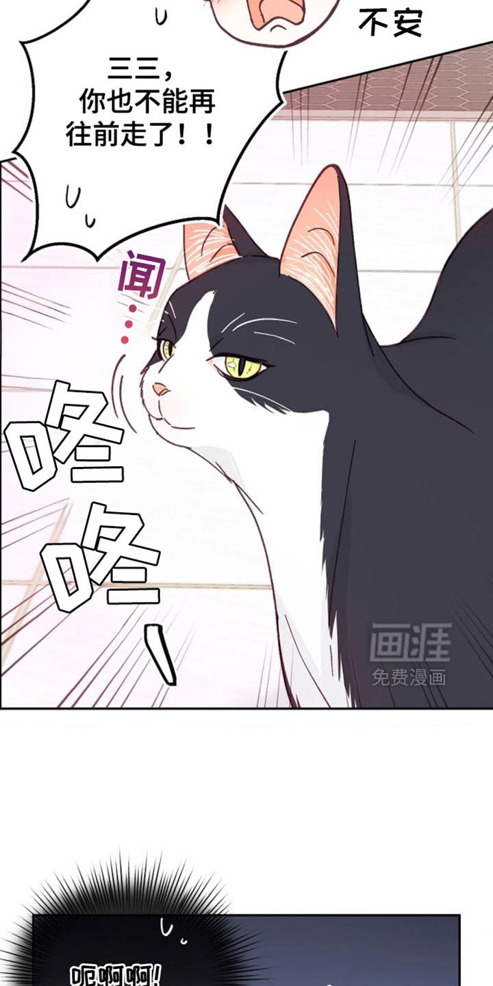第60章：如你所愿吧