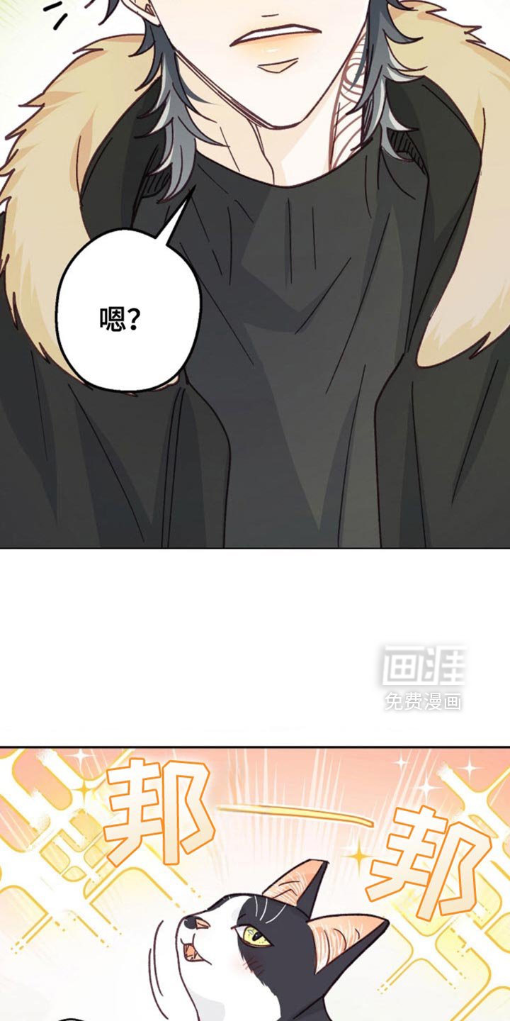 第60章：如你所愿吧