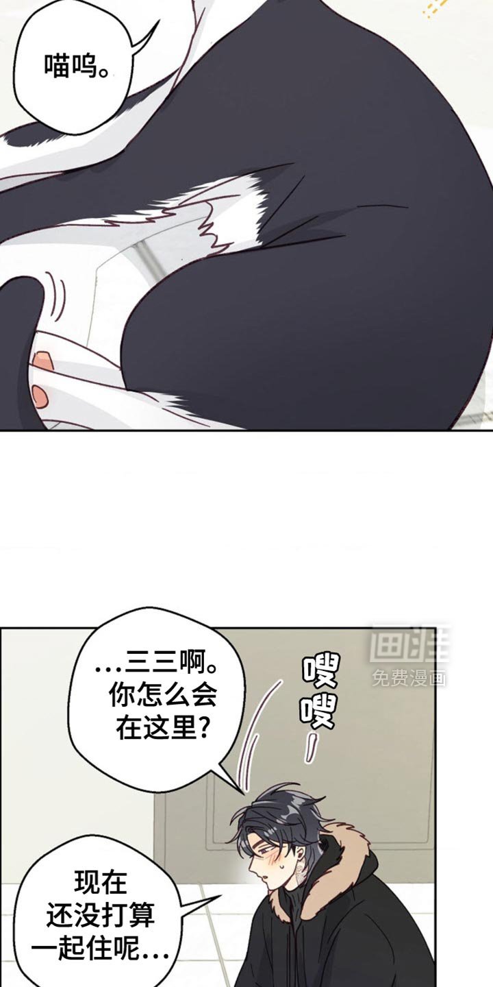 第60章：如你所愿吧