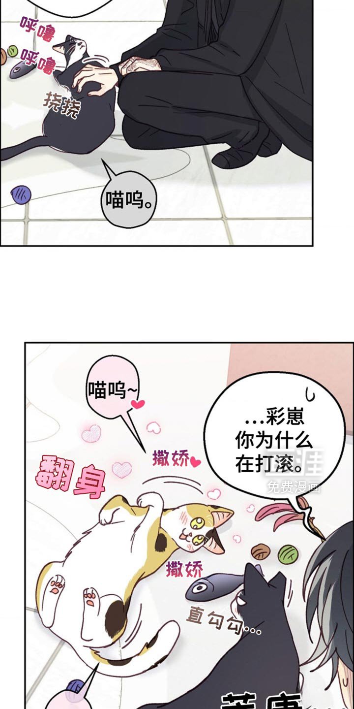 第60章：如你所愿吧